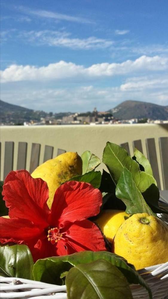 Il Cappero Bed and breakfast Lipari (Isola Lipari)