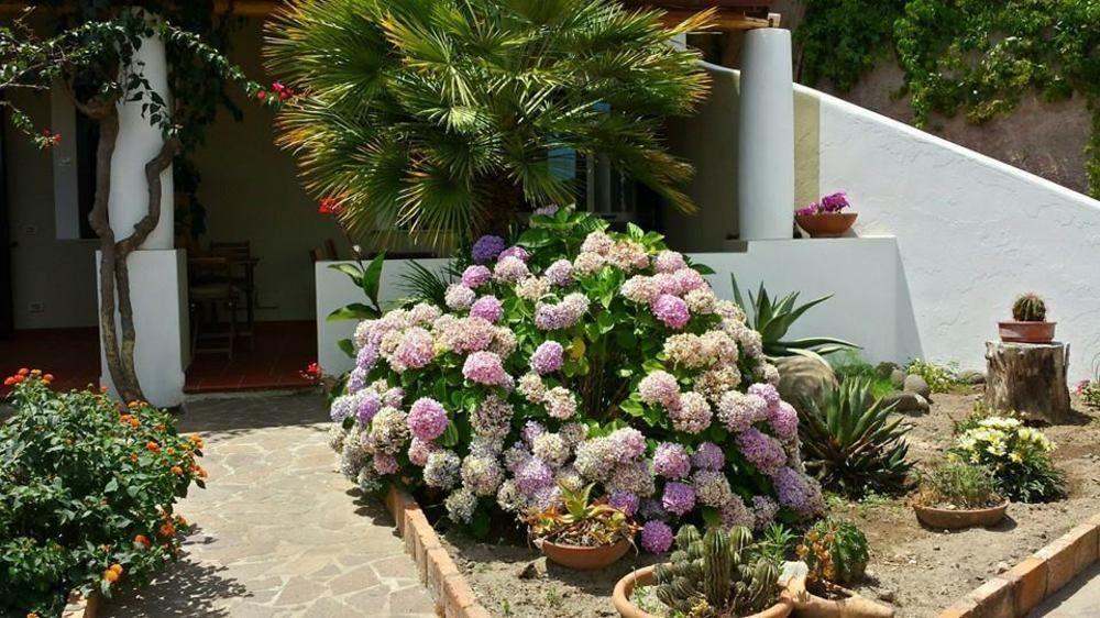 Il Cappero Bed and breakfast *