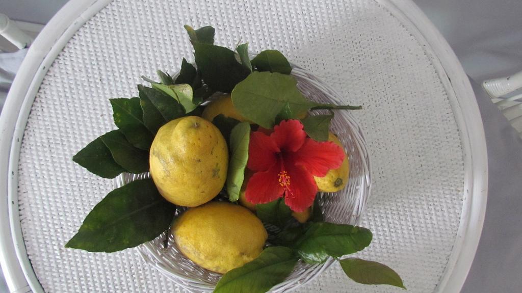 Il Cappero Bed & Breakfast *